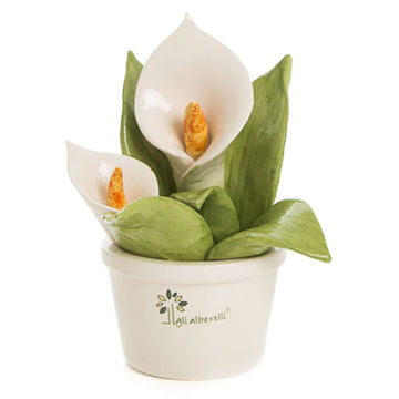 GLI ALBERELLI - Alberello Calla