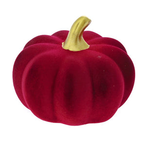 Zucca Rossa - ILIADIS