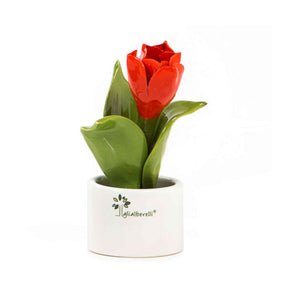 GLI ALBERELLI-Pianta natura mignon tulipano